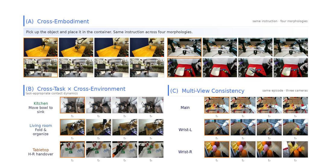 Generalization across embodiments, tasks, and viewpoints
